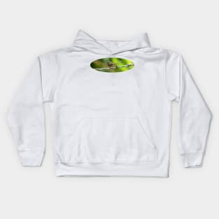 dragonfly Kids Hoodie